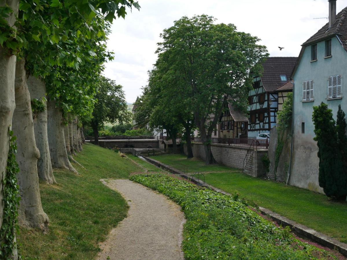 La Cour St-fulrad - Apartment *